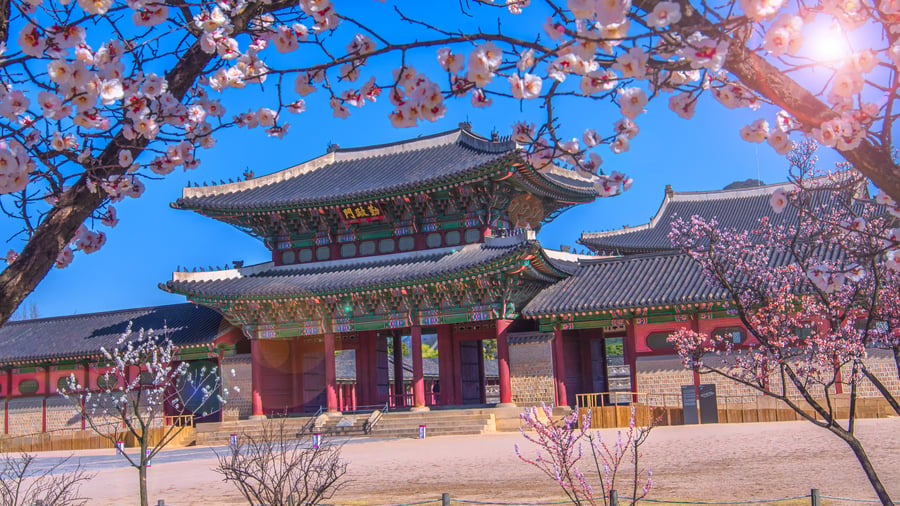 Tempel och storstadsliv i Seoul, Sydkorea
