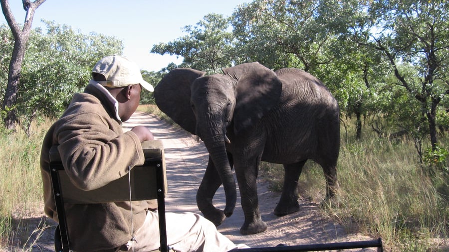 Kruger National Park