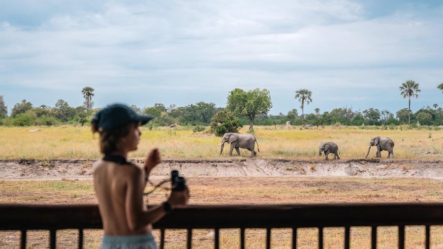 Moremi Crossing Camp