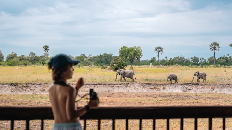 Moremi Crossing Camp