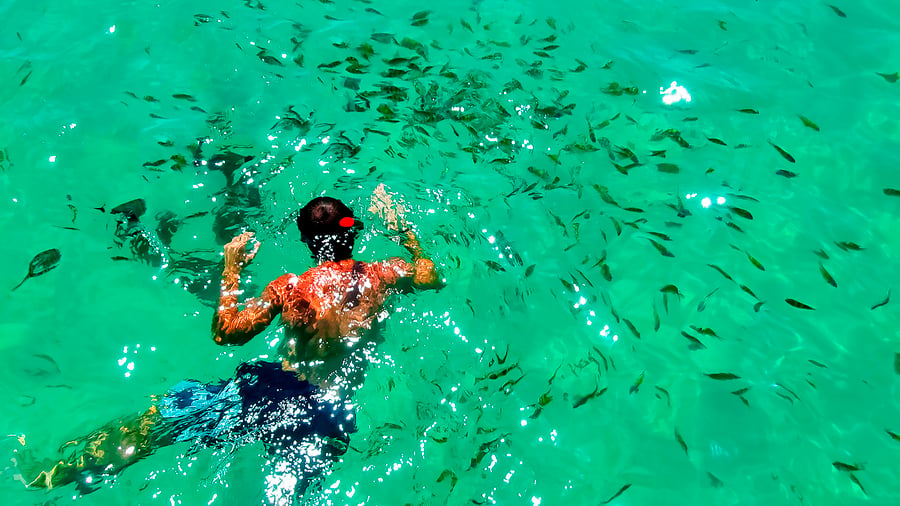 Snorkling på husrevet vid Koh Kradan