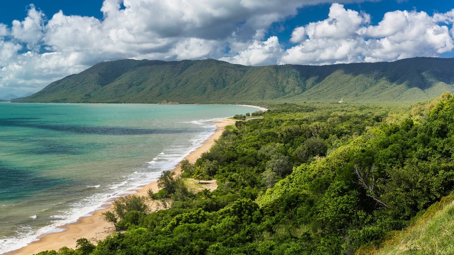 Cape Tribulation