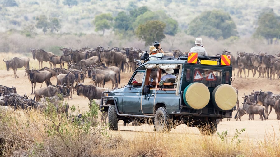 Kom tæt på dyrene i Masai Mara National Park