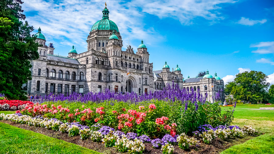 Colourful flowers in Vancouver Island