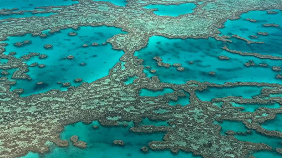 Great Barrier Reef, Australia