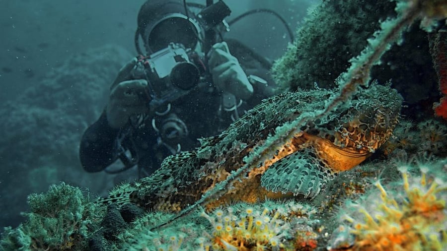 Marine conservatie