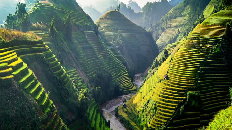 Oplev de smukke rismarker i Sapa i Nordvietnam