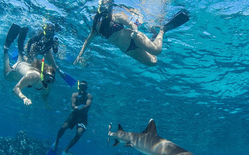 Diving in Fiji