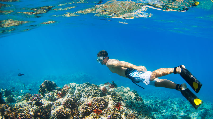 Under the water