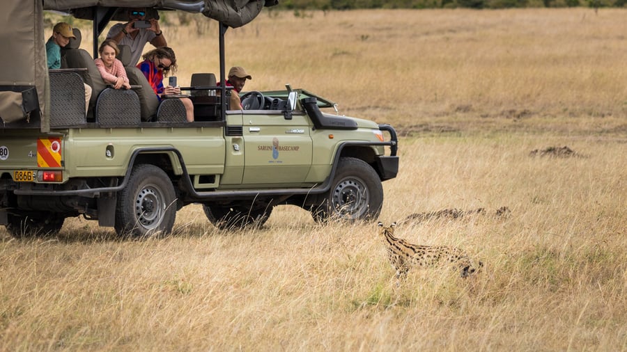 Game drive fra Basecamp Masai Mara