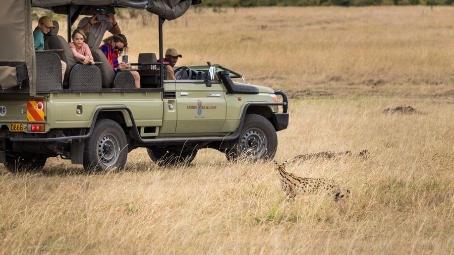 Game drive fra Basecamp Masai Mara