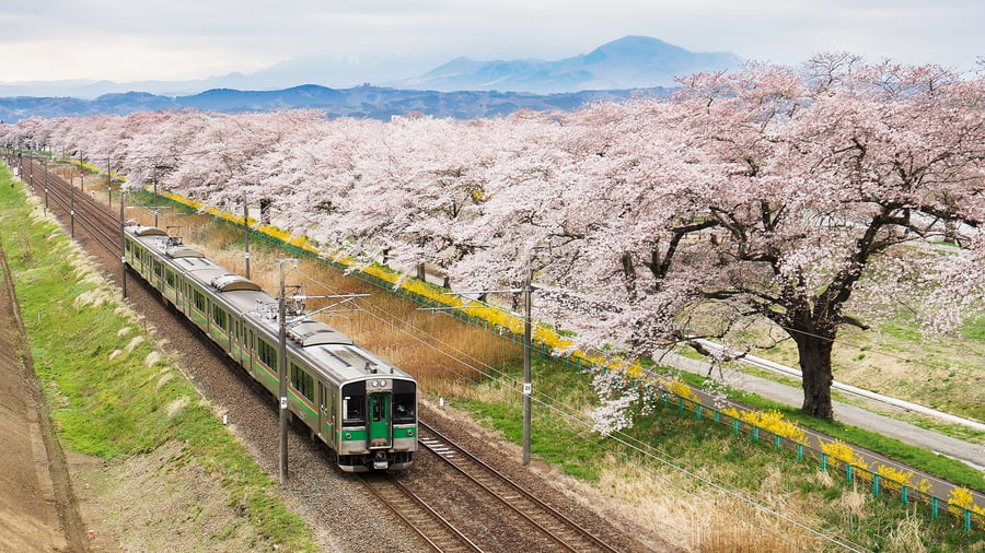 Er rijden veel verschillende treinen in Japan