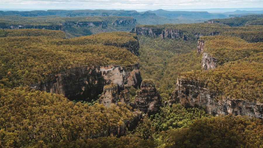 Carnarvon Gorge