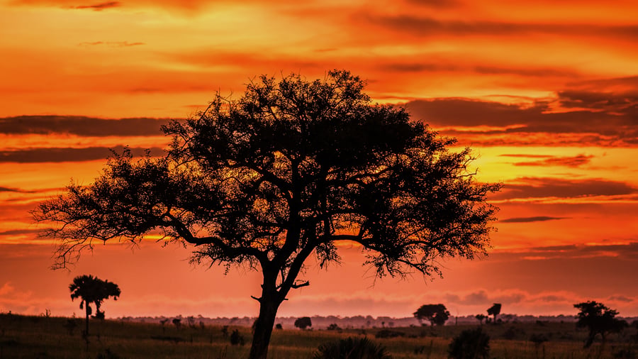 Solnedgang i Murchison Falls National Park
