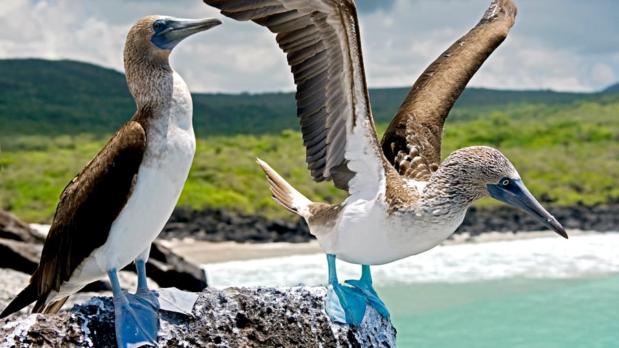 San Cristobal, Galápagos