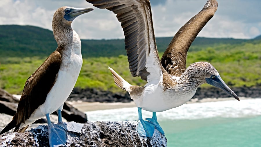San Cristobal, Galápagos