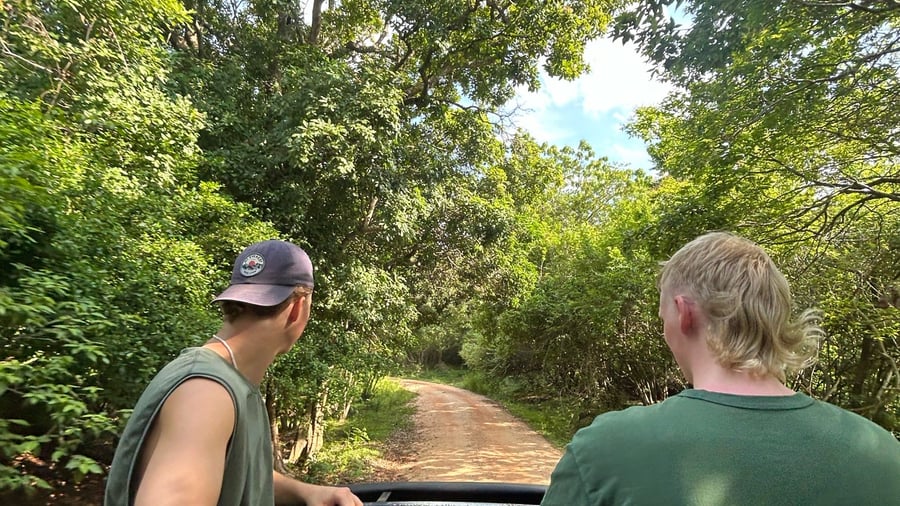 Explore on your own