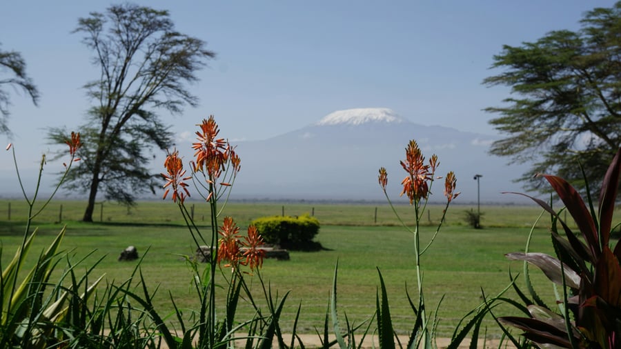 Mount Kilimanjaro, Africa's highest mountain