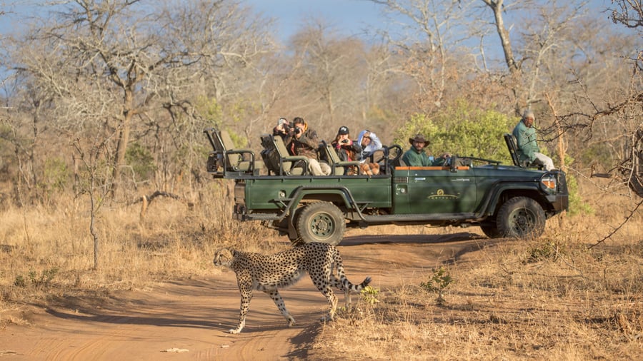 Game drive i Karongwe Game Reserve