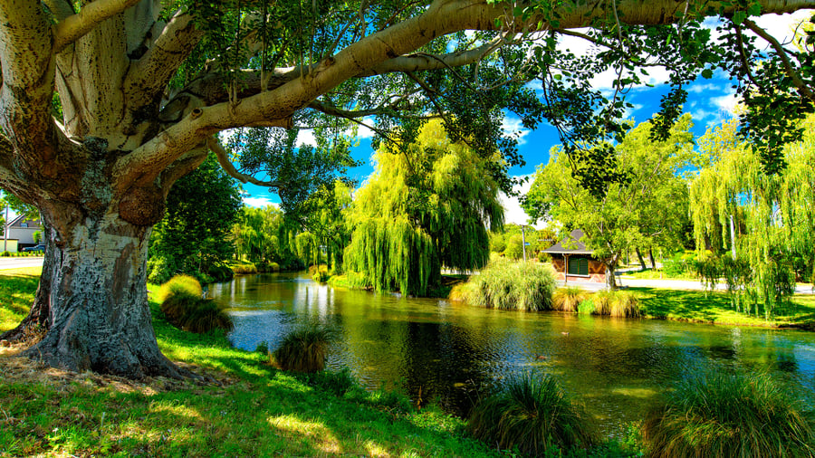 En af Christchurchs hyggelige parker