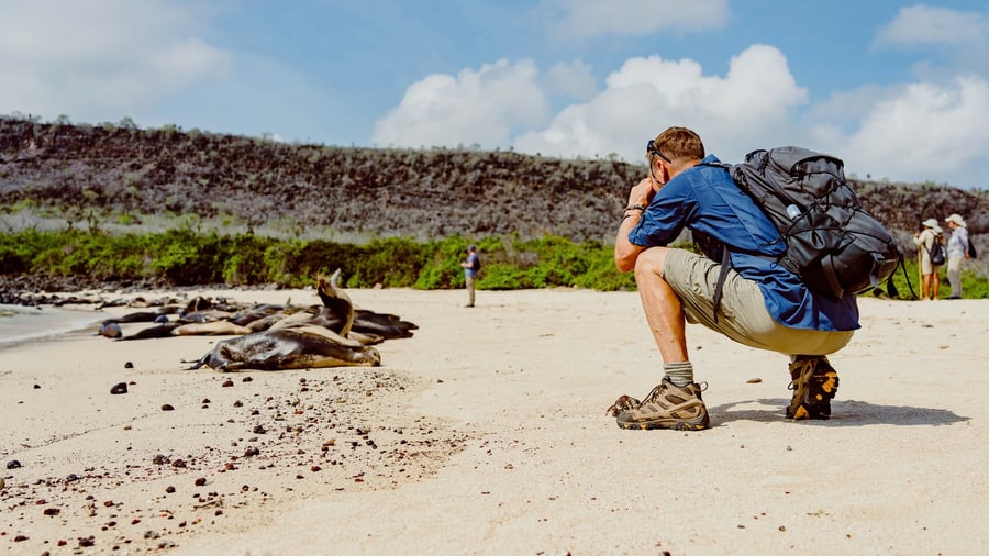 Oplev Galapagos' rige dyreliv