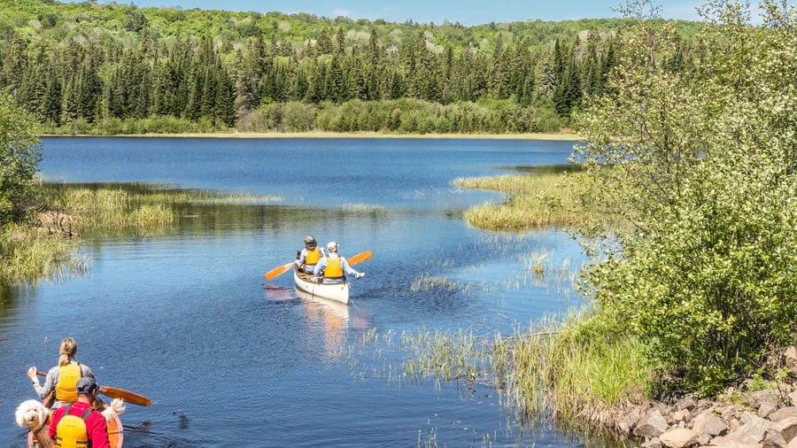 Algonquin Provincial Park, Ontario, Canada