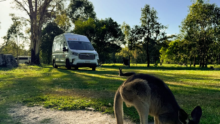 Unique camping spots