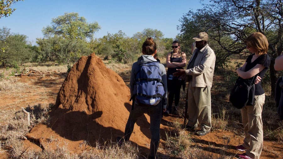 Group of people volunteering in Africa