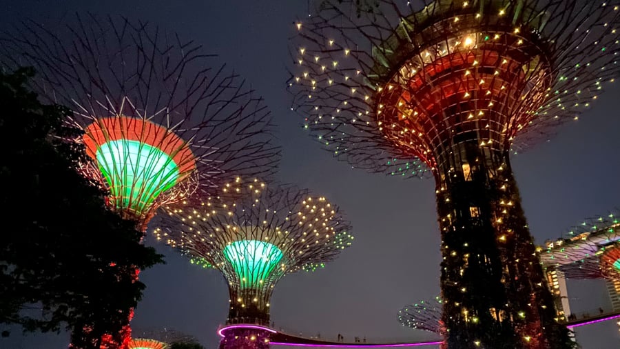 The light show at Supertree Grove is a must. 
