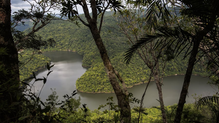 Explore the Belizean nature