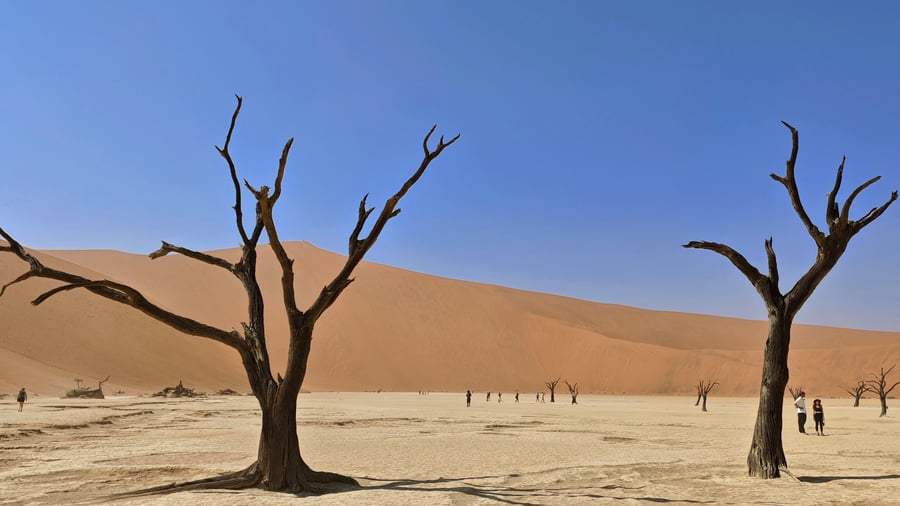 Namibian desert