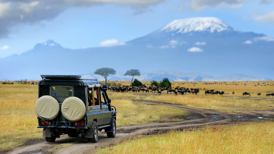 Masai Masa Safari i Kenya