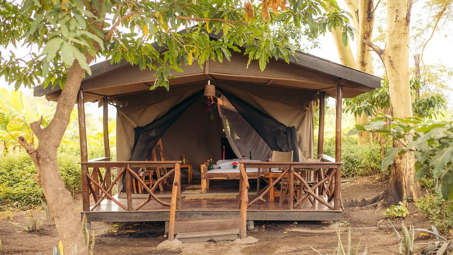 Cozy safari lodge