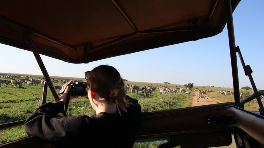 Safari in Tanzania
