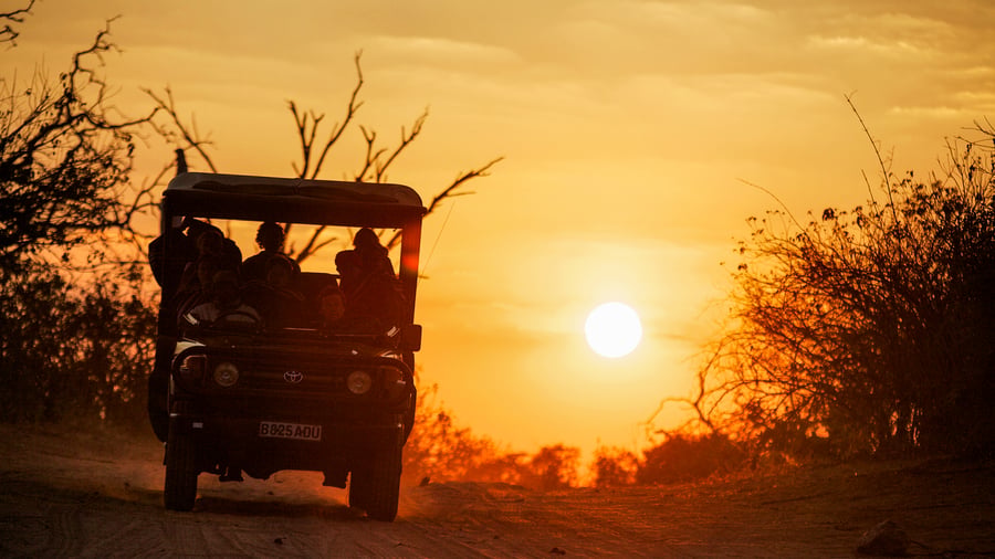 Fantastiska game drives i världsklass väntar