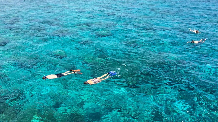 Snorkla i vattnet