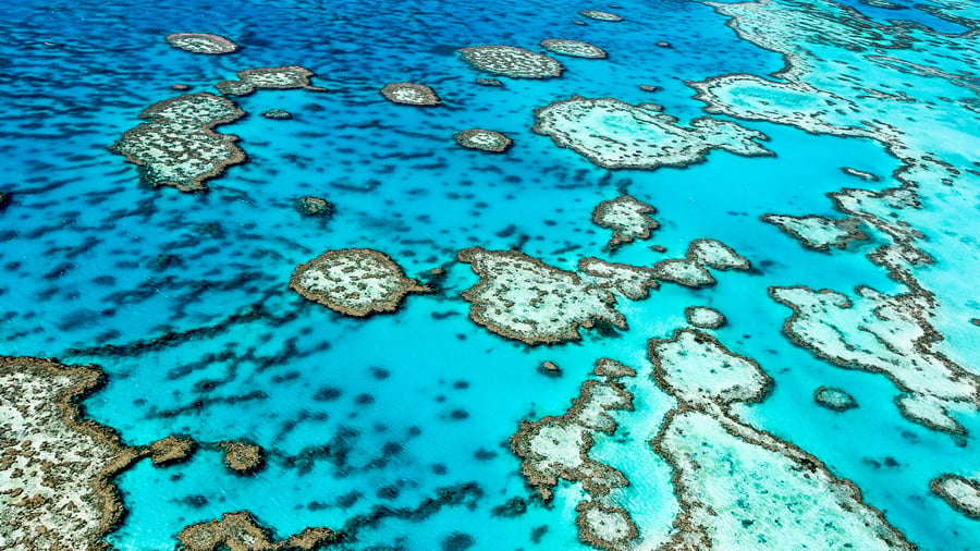 The Great Barrier Reef