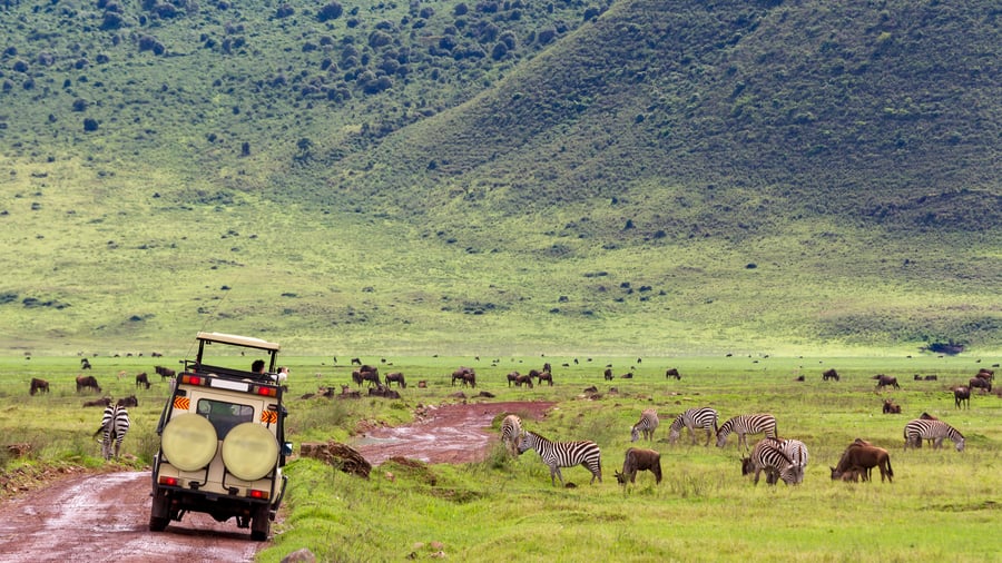 safari in Tanzania