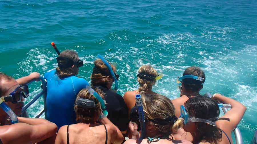 Join a snorkeling trip 