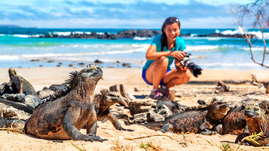 Travel while you help protects Galapago's beauty. 