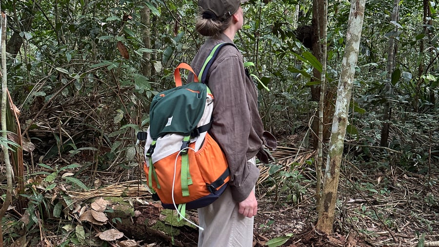 Känn dig liten i Amazonas. 