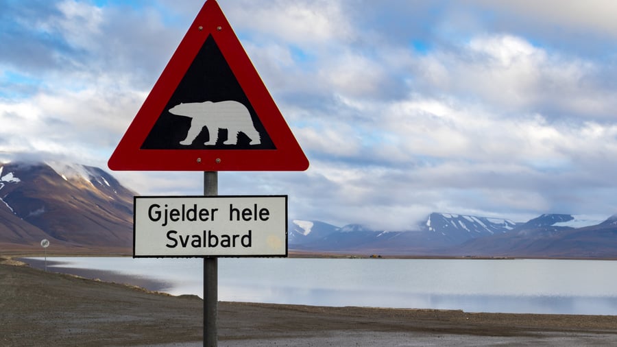 Billede mangler