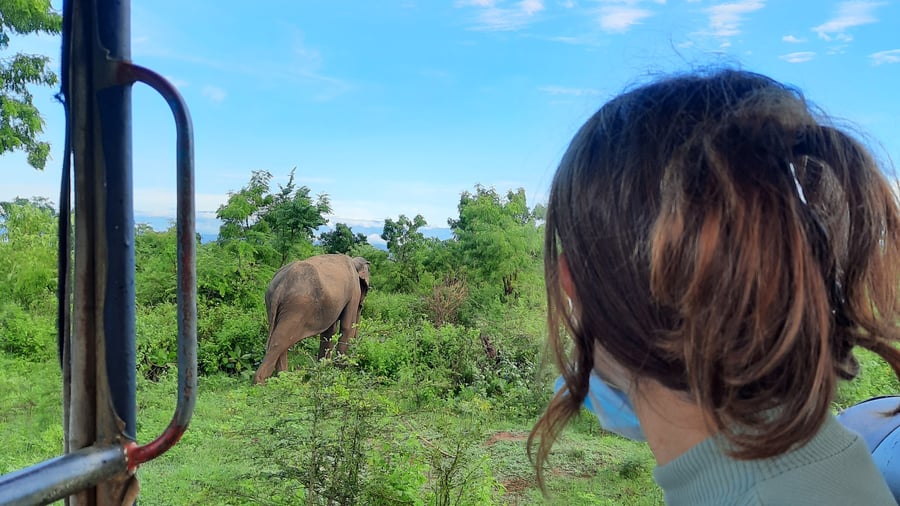 Combine safari and beaches on your honeymoon. 