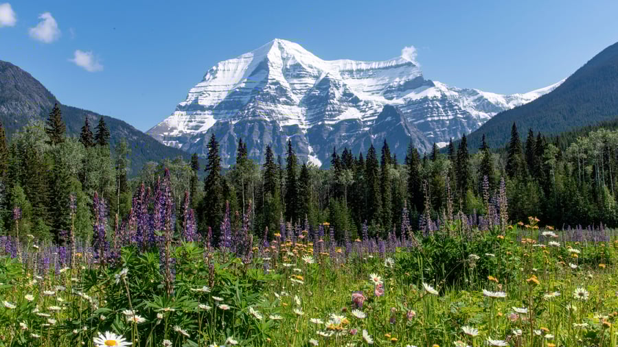 Mount Robson i British Columbia