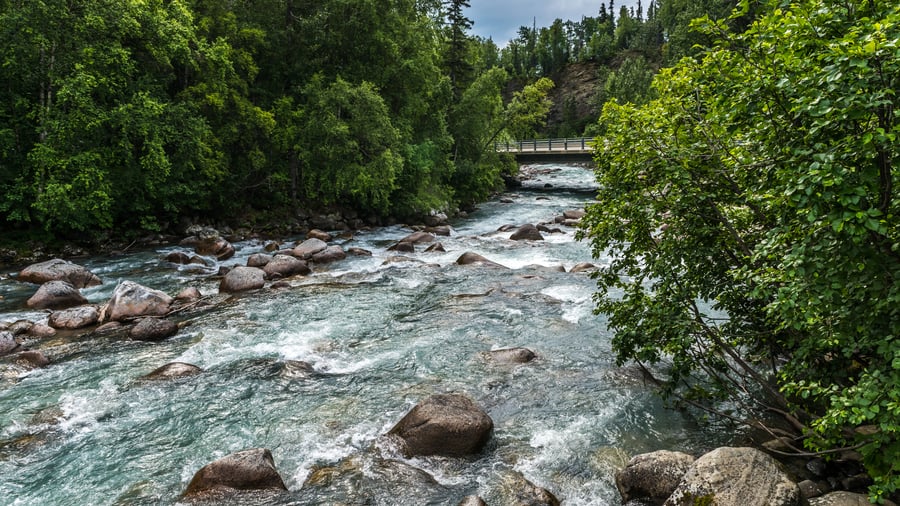 Susitna Creek, Palmer, Alaska