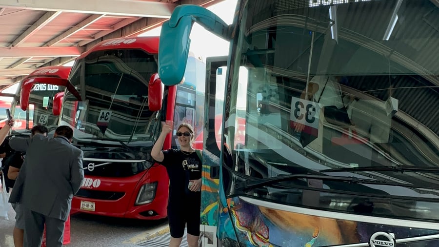 Udforsk din destination med et buspas