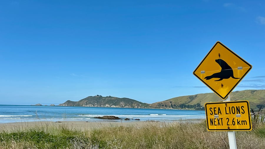 Nya Zeeland är bästg på en roadtrip. 