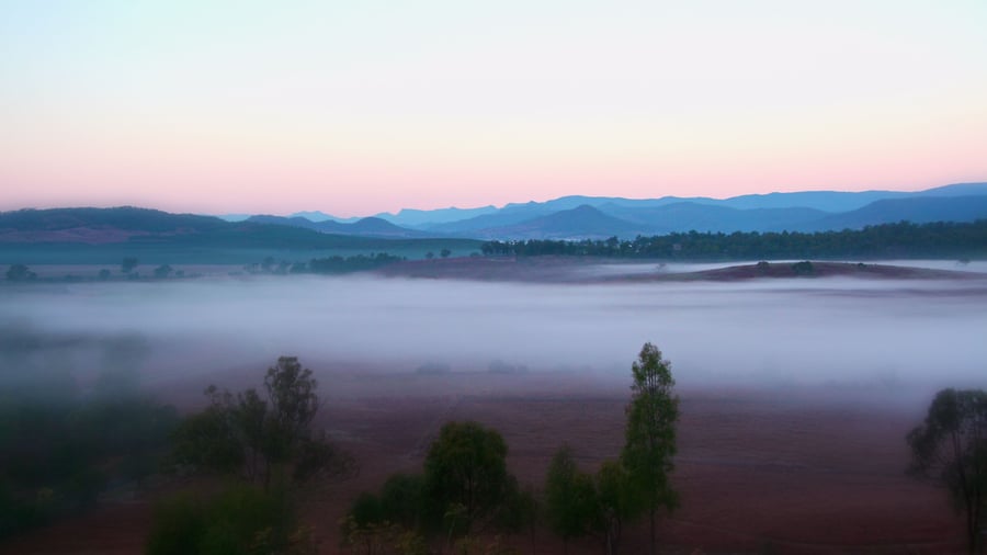 Morgentåge over naturen ved Grandchester