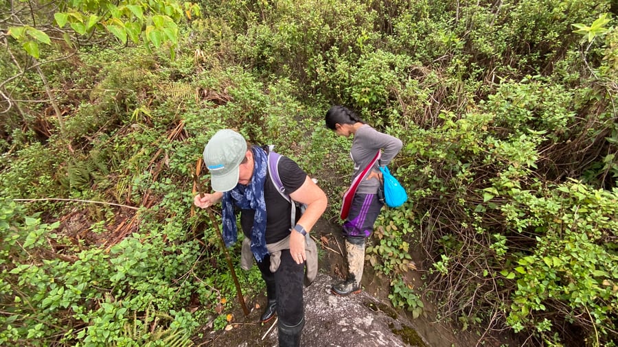 Hikers walking through the Thai jungle
