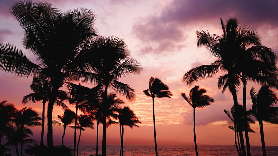 Palmstrand på Maui